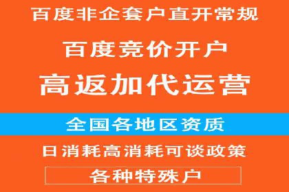 百度SEM推广案例：揭秘行业领军企业的成功之路